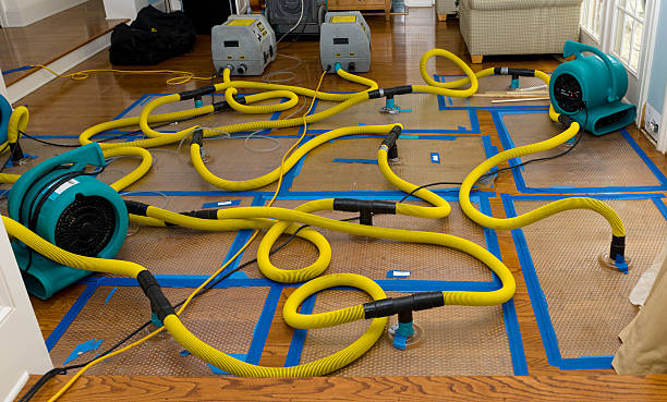 Professional Crawl Space Water Removal technician working in Camas, WA
